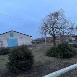 Агрохозяйство 452 гектара, Старобешево фото 4
