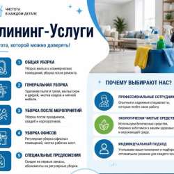 Клининг - Услуги