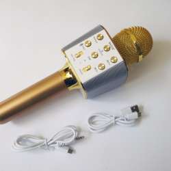 Микрофон Wster WS-1688 USB, microSD, AUX, Bluetooth, REC фото 3