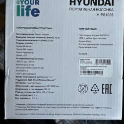 Колонка Hyundai в Пскове