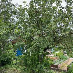 Продам садовый участок в Кинешме