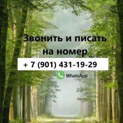 Сдам 1 - к квартиру на длительный срок в Белово фото 9