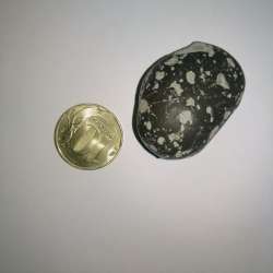 Lunar Meteorite Anorthosite