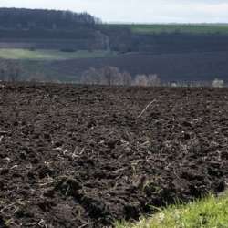 Агрохозяйство 452 гектара, Старобешево