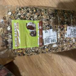 Крысы в добрые  руки в Омске