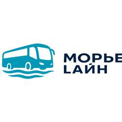 Профессиональная организация пассажирских перевозок и аренда