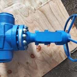 Задвижки Ду80 Ру250 в Шумихе
