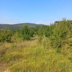 Участок коммерческого назначения 1 га в Севастополе фото 7
