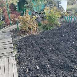Продам сад в Магнитогорске фото 3