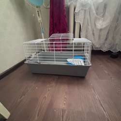 продается кролик с клеткой в Добрянке