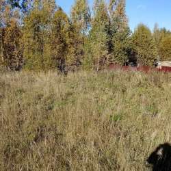 Участок 10 соток (Сенеж) в Солнечногорске фото 6