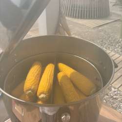 Аппарат для варки кукурузы