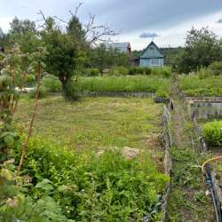 Продам садовый участок в Кинешме фото 3