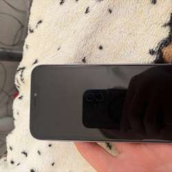 Apple 11