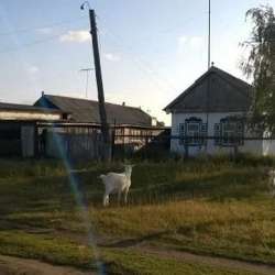 Дом в с. Пристанское Таврического района в Омске фото 8