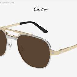 Солнцезащитные очки Cartier мужские в Москве фото 9