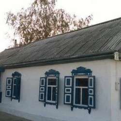 Дом в с. Пристанское Таврического района в Омске фото 13
