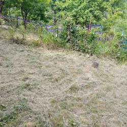 Продажа в Сочи фото 3