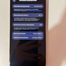 Iphone 16 pro max в Уссурийске фото 3
