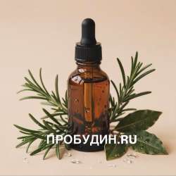 ПРОБУДИН.RU