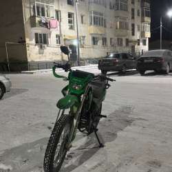 ролиз спорт 005 2025 года