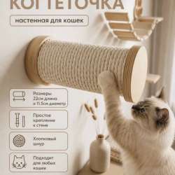 Кошачий настенный комплекс в Москве
