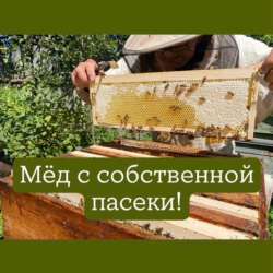 Мед натуральный