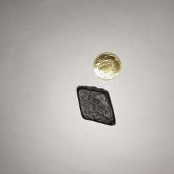 Martian Meteorite