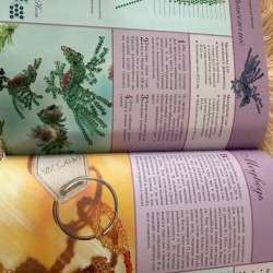 книга про бисер в Орле