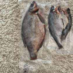 Продам  рыбку