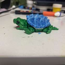 Mini turtle ?