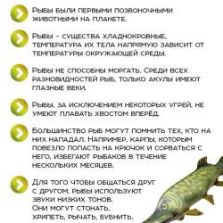 плюшевая игрушка щука в Казани фото 5