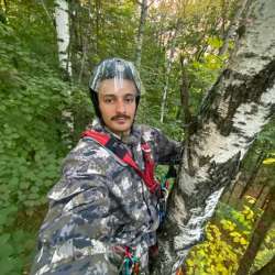 Удаление и обрезка деревьев