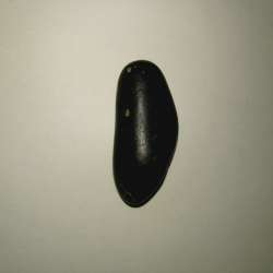 Achondrite