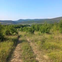 Участок коммерческого назначения 1 га в Севастополе фото 12