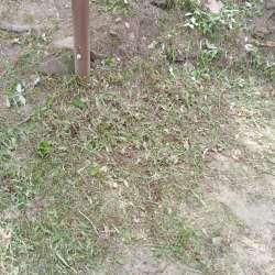 Продажа в Сочи фото 10
