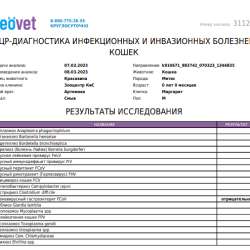Ласковый 6-месячный котик в Москве фото 3