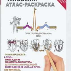 Физиология человека: атлас раскраска