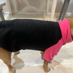 флисовая кофта для собак 2xl в Кирове