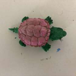 Mini turtle ?
