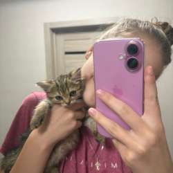 Отдам котёнка в добрые руки