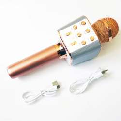 Микрофон Wster WS-1688 USB, microSD, AUX, Bluetooth, REC фото 5