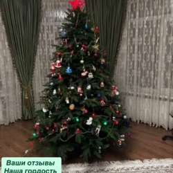 Елки в Владикавказе фото 7