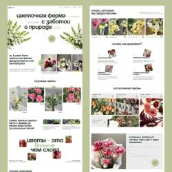 Создание сайтов под ключ Tilda/Wordpress/Bitrix в Кудрово фото 6