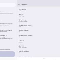 Планшет Infinix XPAD 20 8/256GB LTE (серый) в Новосибирске