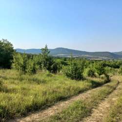 Участок коммерческого назначения 1 га в Севастополе фото 13