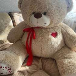 Медведь новый в Новокузнецке