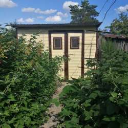 Продам дачу новопавловка Борки фото 4