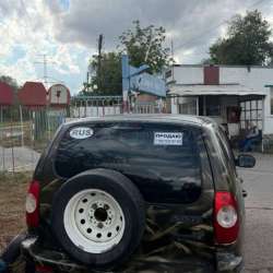 Нива фото 3