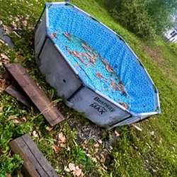 Бассейн в Белово